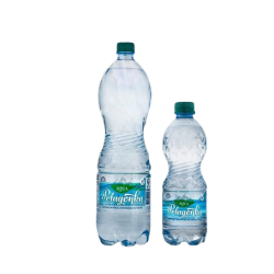 Aqua Pelagonka 50cl